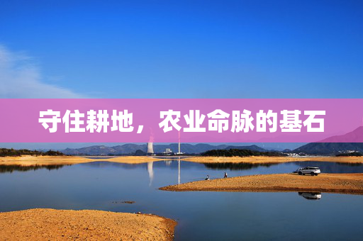 守住耕地，农业命脉的基石