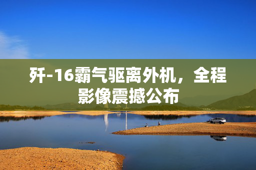歼-16霸气驱离外机，全程影像震撼公布