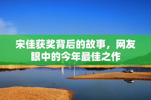 宋佳获奖背后的故事，网友眼中的今年最佳之作