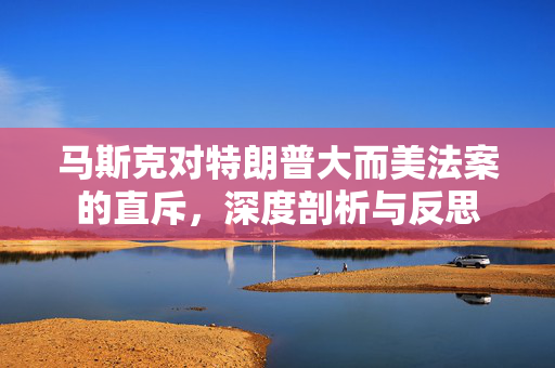 马斯克对特朗普大而美法案的直斥，深度剖析与反思