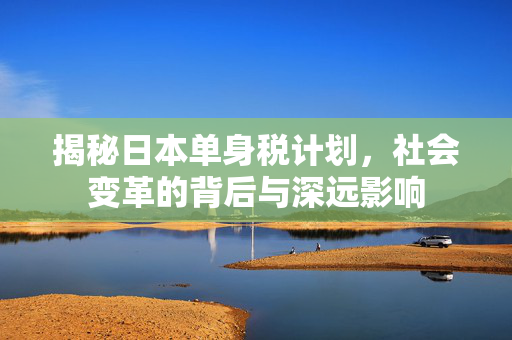 揭秘日本单身税计划，社会变革的背后与深远影响