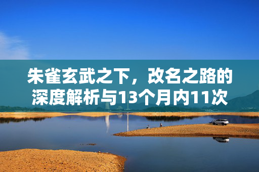 朱雀玄武之下，改名之路的深度解析与13个月内11次申请的探索