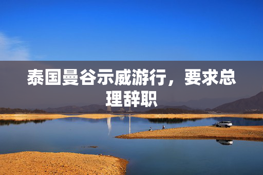 泰国曼谷示威游行，要求总理辞职