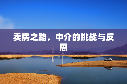 卖房之路，中介的挑战与反思