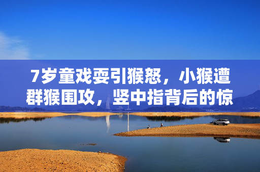7岁童戏耍引猴怒，小猴遭群猴围攻，竖中指背后的惊险一幕