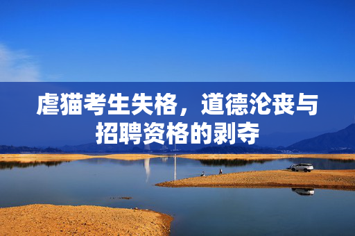 虐猫考生失格，道德沦丧与招聘资格的剥夺