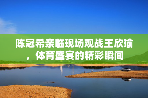 陈冠希亲临现场观战王欣瑜，体育盛宴的精彩瞬间