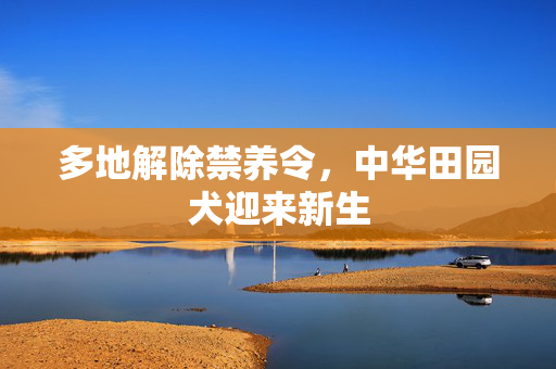 多地解除禁养令，中华田园犬迎来新生