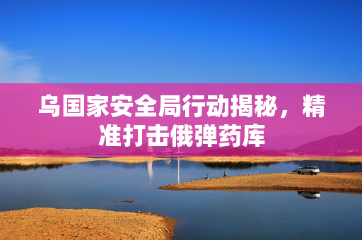 乌国家安全局行动揭秘，精准打击俄弹药库