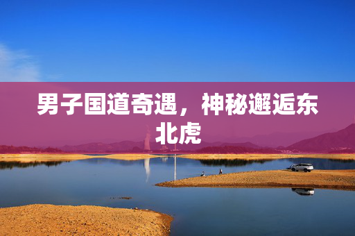 男子国道奇遇，神秘邂逅东北虎