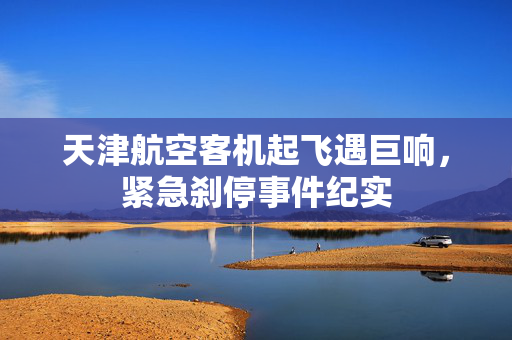 天津航空客机起飞遇巨响，紧急刹停事件纪实