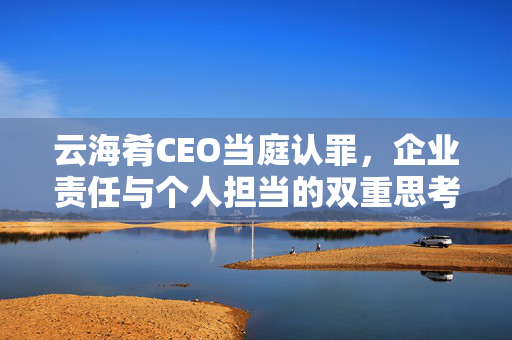 云海肴CEO当庭认罪，企业责任与个人担当的双重思考