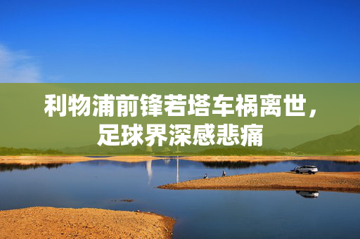 利物浦前锋若塔车祸离世，足球界深感悲痛