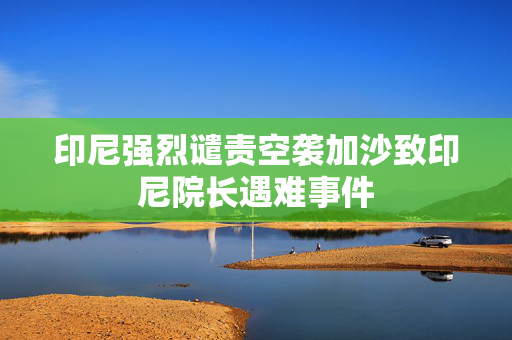 印尼强烈谴责空袭加沙致印尼院长遇难事件