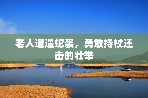 老人遭遇蛇袭，勇敢持杖还击的壮举