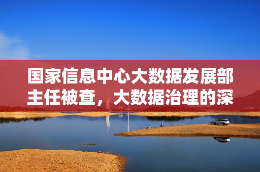 国家信息中心大数据发展部主任被查，大数据治理的深度反思与未来展望
