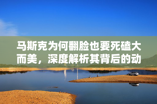 马斯克为何翻脸也要死磕大而美，深度解析其背后的动机与战略考量