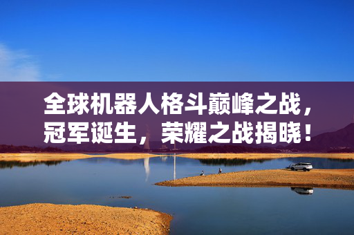 全球机器人格斗巅峰之战，冠军诞生，荣耀之战揭晓！