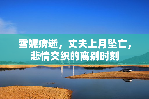 雪妮病逝，丈夫上月坠亡，悲情交织的离别时刻