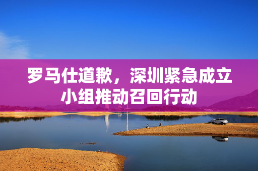 罗马仕道歉，深圳紧急成立小组推动召回行动
