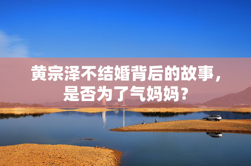 黄宗泽不结婚背后的故事，是否为了气妈妈？