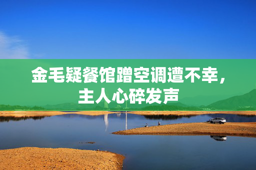 金毛疑餐馆蹭空调遭不幸，主人心碎发声
