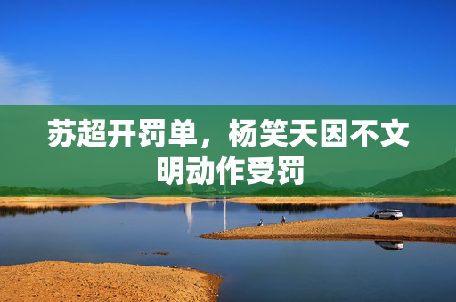 苏超开罚单，杨笑天因不文明动作受罚