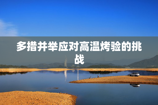 多措并举应对高温烤验的挑战
