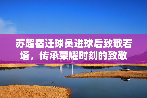 苏超宿迁球员进球后致敬若塔，传承荣耀时刻的致敬