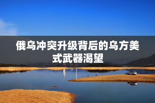俄乌冲突升级背后的乌方美式武器渴望