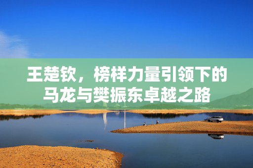 王楚钦，榜样力量引领下的马龙与樊振东卓越之路