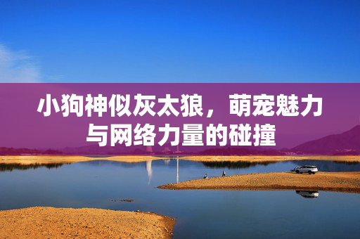 小狗神似灰太狼，萌宠魅力与网络力量的碰撞