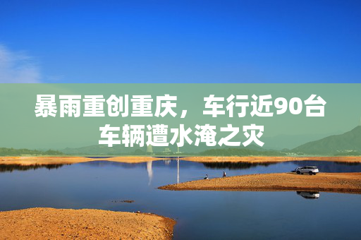 暴雨重创重庆，车行近90台车辆遭水淹之灾