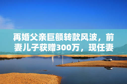 再婚父亲巨额转款风波，前妻儿子获赠300万，现任妻子愤怒起诉