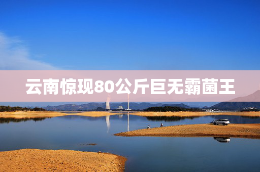 云南惊现80公斤巨无霸菌王