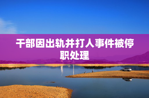 干部因出轨并打人事件被停职处理