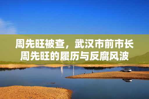 周先旺被查，武汉市前市长周先旺的履历与反腐风波