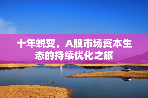 十年蜕变，A股市场资本生态的持续优化之旅