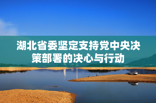湖北省委坚定支持党中央决策部署的决心与行动
