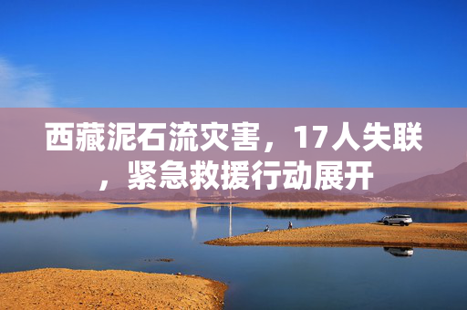 西藏泥石流灾害，17人失联，紧急救援行动展开