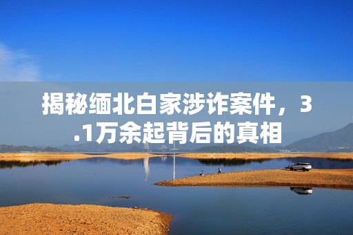 揭秘缅北白家涉诈案件，3.1万余起背后的真相