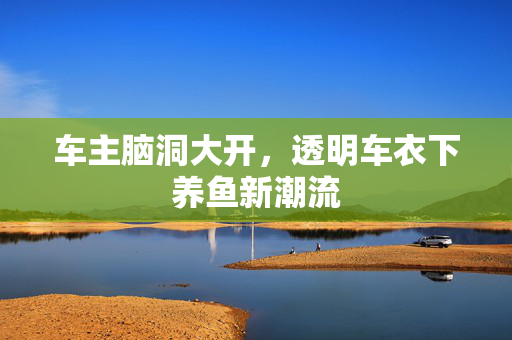 车主脑洞大开，透明车衣下养鱼新潮流