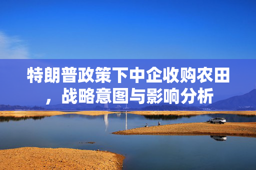 特朗普政策下中企收购农田，战略意图与影响分析