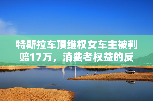 特斯拉车顶维权女车主被判赔17万，消费者权益的反思与探讨