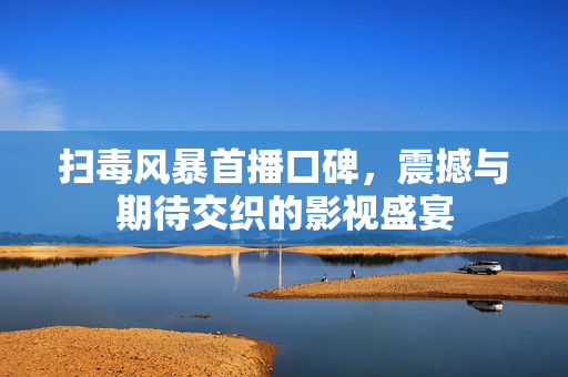 扫毒风暴首播口碑，震撼与期待交织的影视盛宴