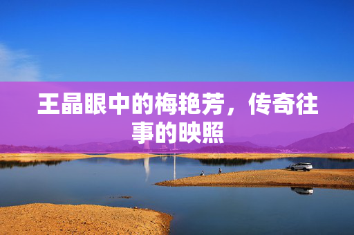 王晶眼中的梅艳芳，传奇往事的映照