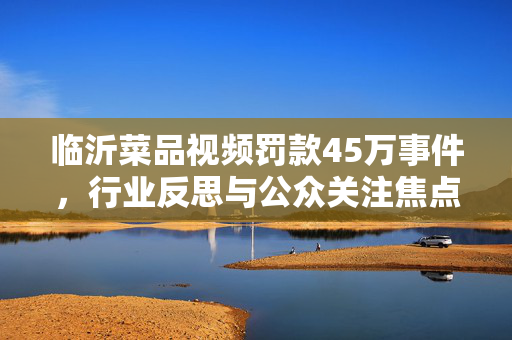 临沂菜品视频罚款45万事件，行业反思与公众关注焦点