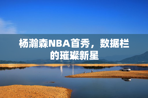 杨瀚森NBA首秀，数据栏的璀璨新星