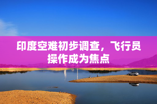 印度空难初步调查，飞行员操作成为焦点