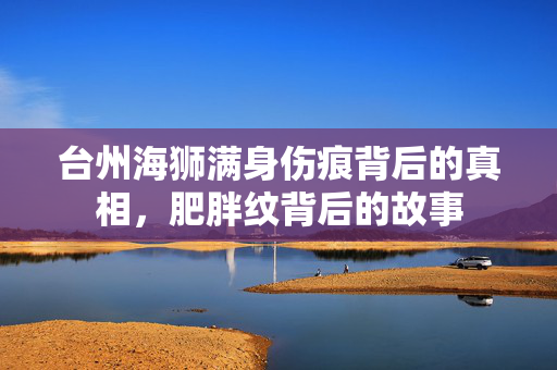 台州海狮满身伤痕背后的真相，肥胖纹背后的故事